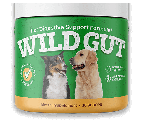 Wild Gut supplement
